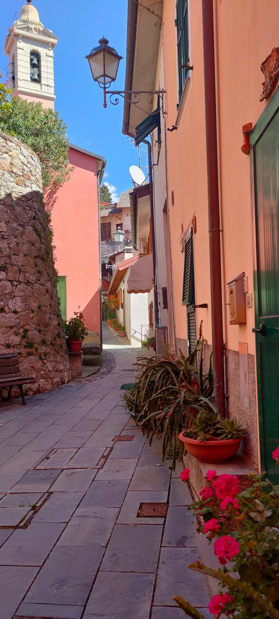 Camera Tra Le Cinque Terre, Camogli E Portofino. Vista Valle E Scorcio Mare All'Orizzonte Castiglione Chiavarese Exterior photo