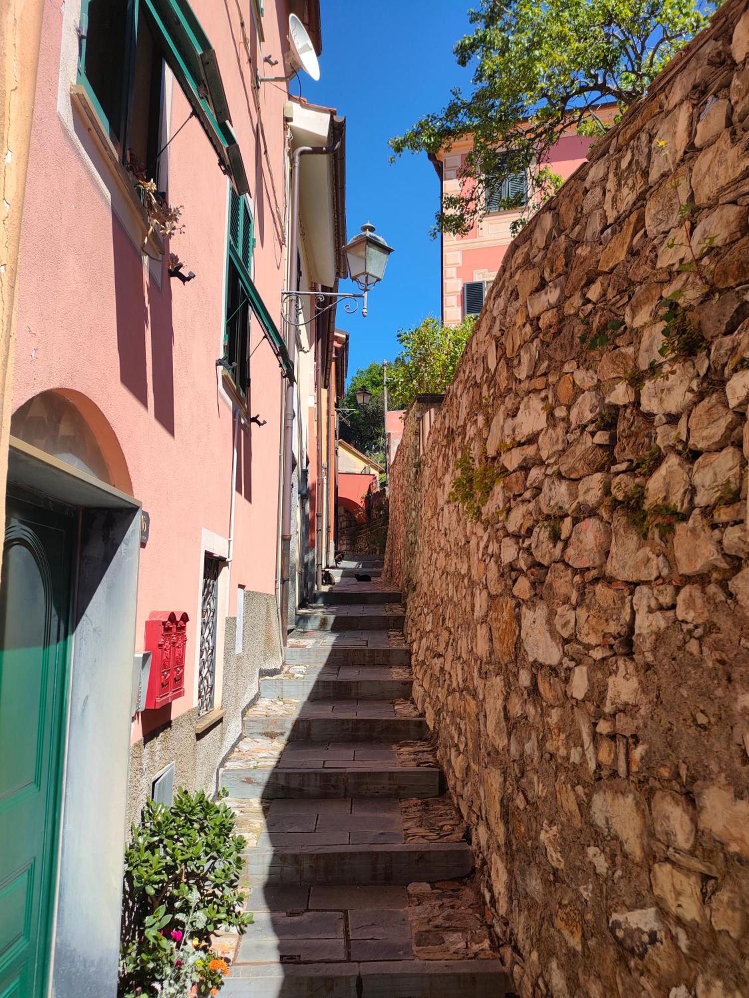 Camera Tra Le Cinque Terre, Camogli E Portofino. Vista Valle E Scorcio Mare All'Orizzonte Castiglione Chiavarese Exterior photo